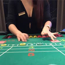 bet5g login